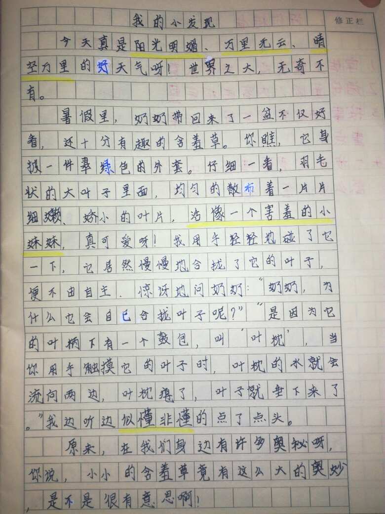 查看作文    我的小发现         热17类别:叙事   发表时间:2019-06