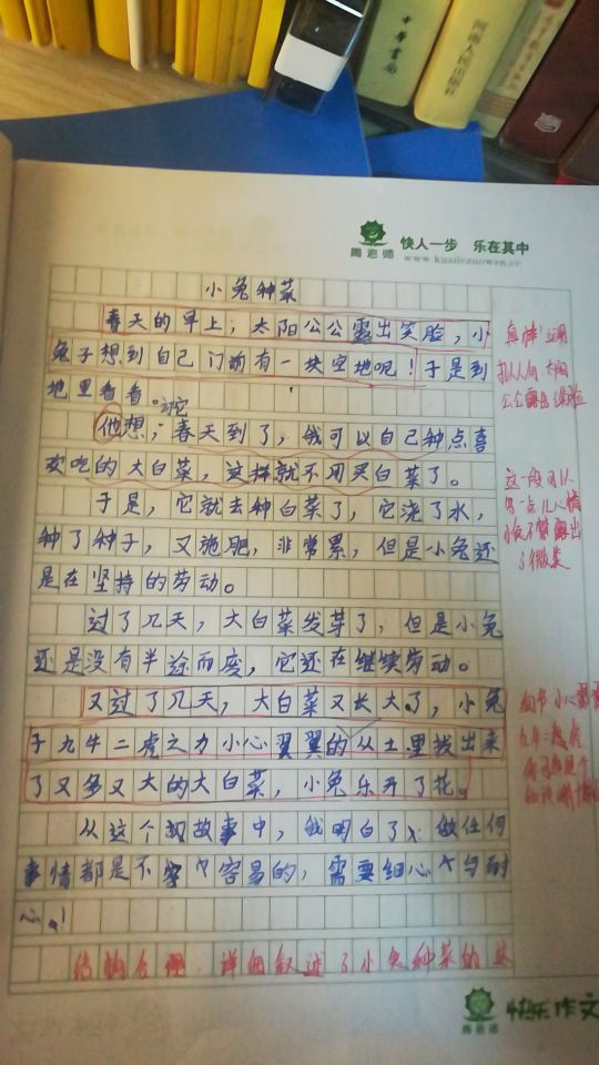 郑州市中小学生作文博览